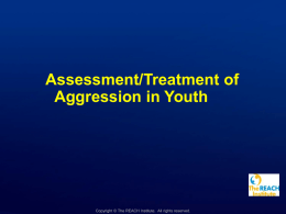 Unit L: Aggression in Youth