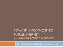 toward a polymorphic future internet