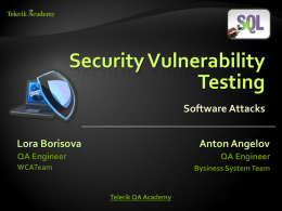 Security Vulnerability Testing