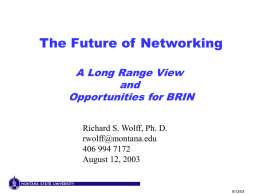 A Long Range View and Opportunities for BRIN