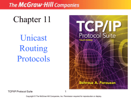 Routing Information Protocol (RIP)