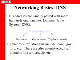 Networking Basics: DNS