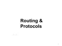 Routing & Protocols