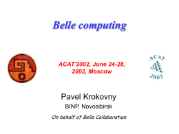 Belle Computing