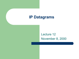 IP Datagrams - University of Maine System