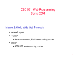 Internet & Web Protocols