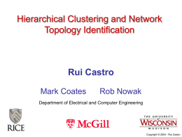 Hierarchical Clustering and Network Topology Identification