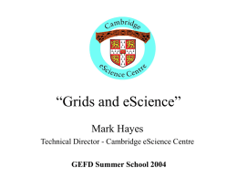 Grids and eScience”