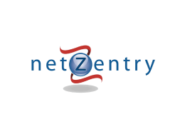 netZentry Presentation