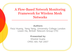 A Flow-Based Network Monitoring Framework for Wireless Mesh