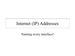 Internet (IP) Addresses