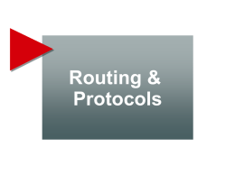 Routing & Protocols