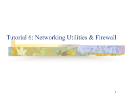 Networking Utilities & Firewall
