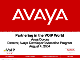 Partnering in the VOIP World