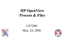 HP OpenView Process & Files