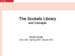 Sockets API - Rudra Dutta