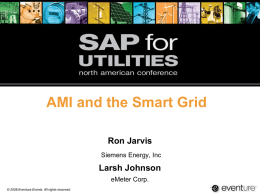AMI and the Smart Grid