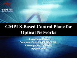GMPLS Control Plane Software Architecture