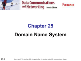 25.1 Chapter 25 Domain Name System