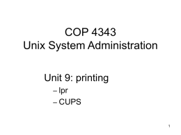 COP 4343