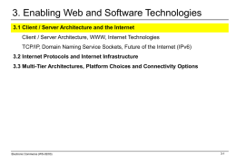 Client-Server Architectures and the Internet