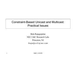 Constraint-Based Unicast and Multicast: Practical Issues