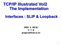 24_Vol2_ch.5_Interfaces_SLIP_and_Loopback