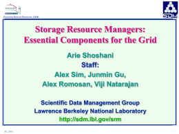 Storage Resource Managers