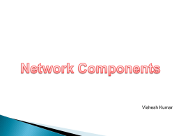 Vishesh Network Components - IT Knowledge Base