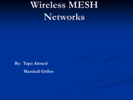 Wireless MESH Networks