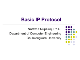 Basic IP Protocol