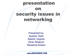 Presentation on the Network security