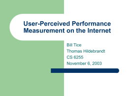 User-Perceived Performance Measurement on the Internet