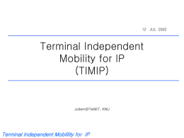Terminal Independent Mobility for IP
