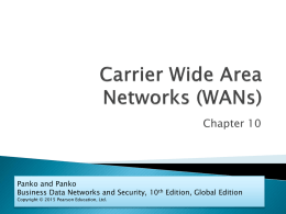 Carrier Wide Area Networks (WANs)