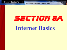 Internet Basics Section 8a This lesson includes the following sections