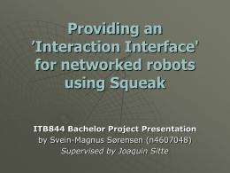 Interaction Interface for networked robots