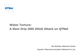 Water Torture: A Slow Drip DNS DDoS Attack on QTNet Kei Nishida