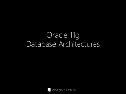 oracle11g-database-architecturex