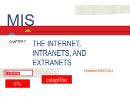 Chapter 7 The Internet, Intranets, and Extranets