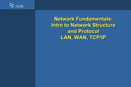 fundamental_networking