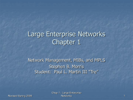 1. Large Enterprise Networks