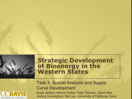 Strategic Development of Bioenergy