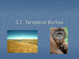 35.3 Land Biomes