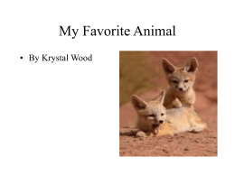 My Favorite Animal - Woodland Hills School District