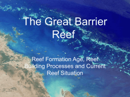 Great Barrier Reef - Home - Caltech: Geological and
