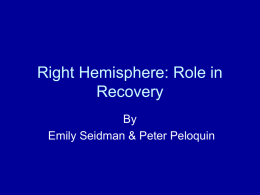 PowerPoint Presentation - Right Hemisphere: Role in Recovery