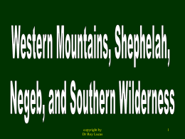 Western Mountains, Shephelah, Negeb, and Southern