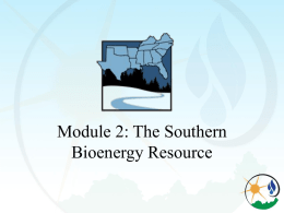 The Southern Bioenergy Resource