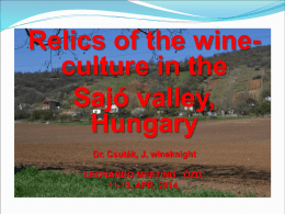 Relics of wine-culture in Sajó